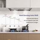 36" Range Hood Insert ,600 CFM Stainless Steel Kitchen Vent Hood with 4 Speeds 3CCT LED Lights - NX-19IS-36