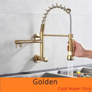 GobekUsa Dual Spouts Kitchen Faucet with Handheld Shower - Wall Mounted Dual Spouts