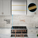 Akicon 30" Stainless Steel Wall Mount Range Hood with 600 CFM Vent Hood - AK-HS30HC