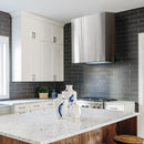 Akicon 30" Stainless Steel Wall Mount Range Hood Modern Box with 600 CFM Vent Hood - AK-HS30H