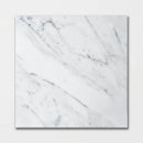 Statuarietto Polished Marble Tiles 12x12