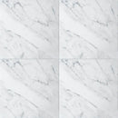 Statuarietto Polished Marble Tiles 12x12