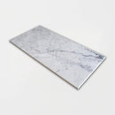 Statuarietto Polished Marble Tiles 12x24