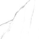 Statuario Raphael Porcelain