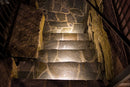 STB14 3000K or 5000K Aluminum LED Retaining Wall Light 12V Low Voltage Hardscape Paver Lighting