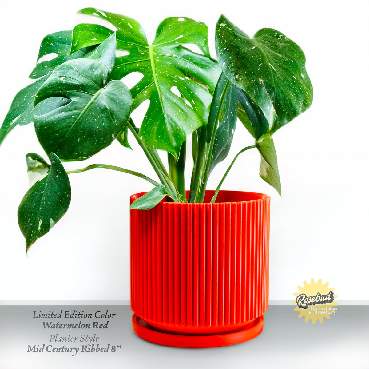 Mid-Century Ribbed Planter, photo 7 of 18