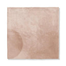 Steppe Glossy Ceramic Accent Tiles 5x5