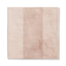 Steppe Glossy Ceramic Accent Tiles 5x5
