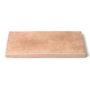 Steppe Glossy Ceramic Tiles 2 1/2x5