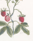 Strawberry Branch