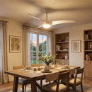 Streamlined Traditional Ceiling Fan Light
