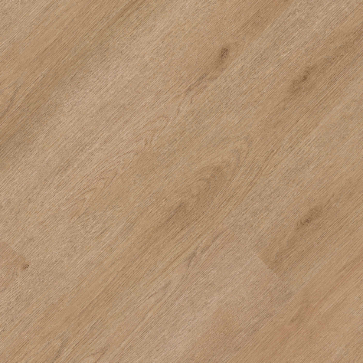MSI Studio Bozeman Luxury Vinyl Planks, photo 2 of 26