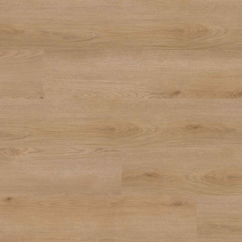 MSI Studio Bozeman Luxury Vinyl Planks