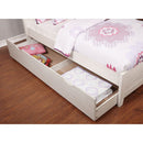 Brogan - Trundle by Unique Piece Furniture