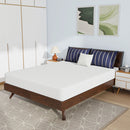 Nasturtium - 8" Queen Bamboo Charcoal Infused Memory Foam by Unique Piece Furniture