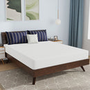 Nasturtium - 8" Queen Bamboo Charcoal Infused Memory Foam by Unique Piece Furniture