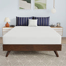 Nasturtium - 8" Full Bamboo Charcoal Infused Memory Foam by Unique Piece Furniture