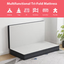 Hollyhock - 3" Queen Tri-Fold Memory Foam Topper by Unique Piece Furniture