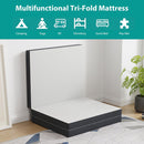 Hollyhock - 4" Queen Tri-Fold Memory Foam Topper by Unique Piece Furniture