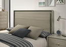 Rainier - Queen Bed by Unique Piece Furniture