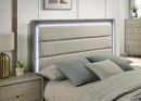 Rainier - Queen Bed by Unique Piece Furniture