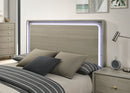 Rainier - 5 Pc Queen Bedroom Set (Panel HB)