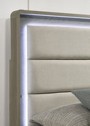 Rainier - 5 Pc Queen Bedroom Set (Upholstered HB)