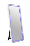 Katlyn - Floor Mirror