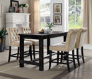 Sania - 5 Pc Counter Ht Table Set