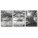 GobekUsa "Stunning Big Tree Lake Sunset Canvas Posters"