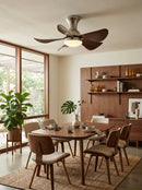 Stylish Compact Silent Ceiling Fan Light