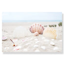 GobekUsa Summer Beach Seashell Canvas Wall Art