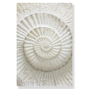 GobekUsa Summer Beach Seashell Canvas Wall Art