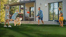 MSI Evergrass®MEADOW GREEN PET-TURF 91