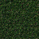 MSI Evergrass®SUMMER GOLD 96