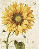 Sunflower & Honey Bee