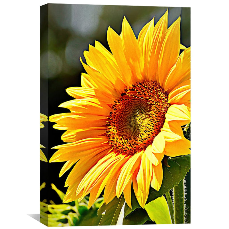 Sunflower Canvas