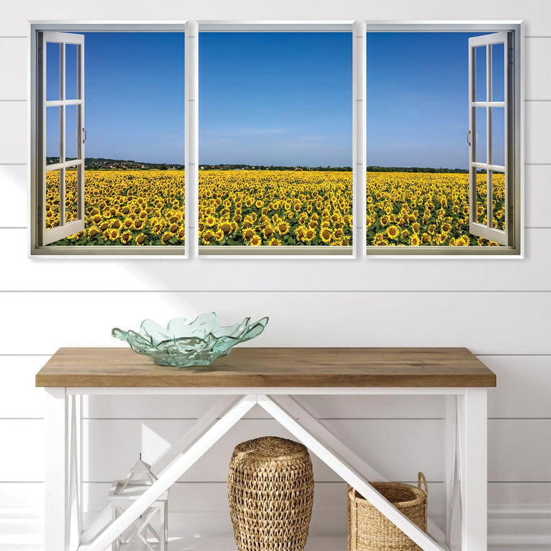 Sunflower Fields Canvas