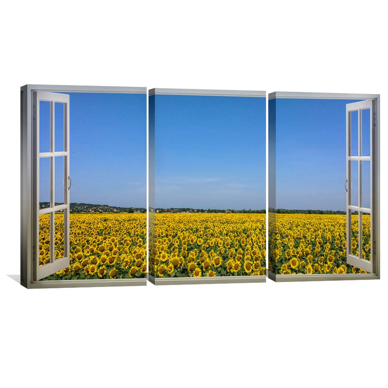 Sunflower Fields Canvas