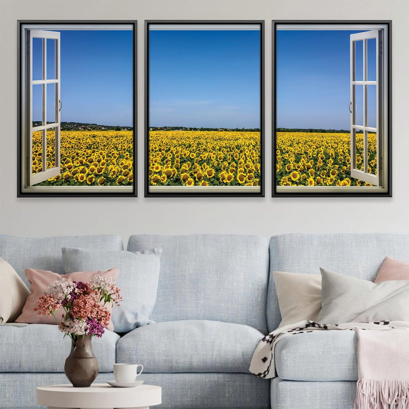 Sunflower Fields Canvas