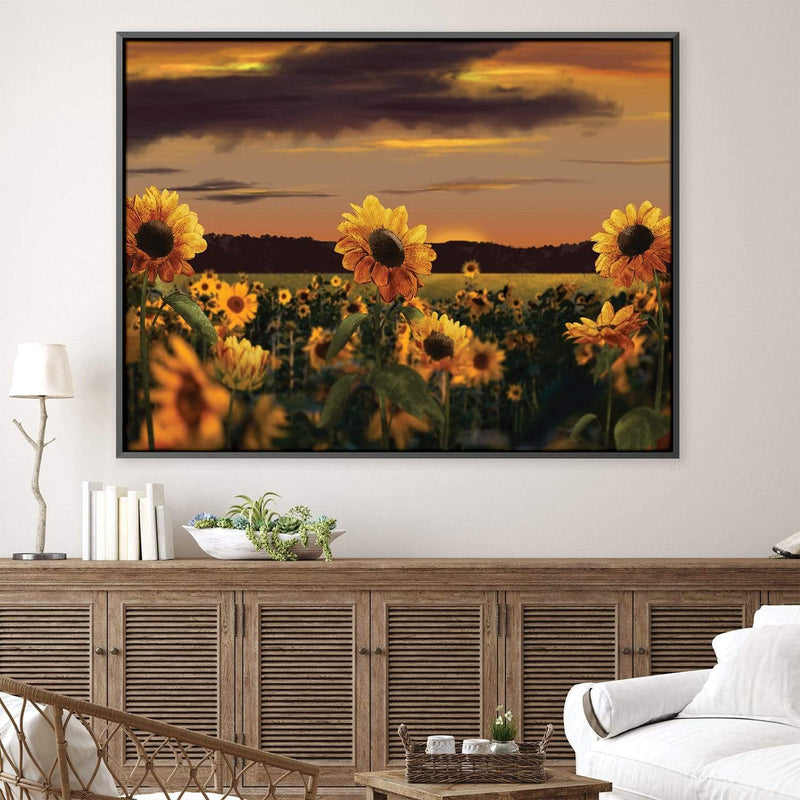 Sunflower Meadow Canvas