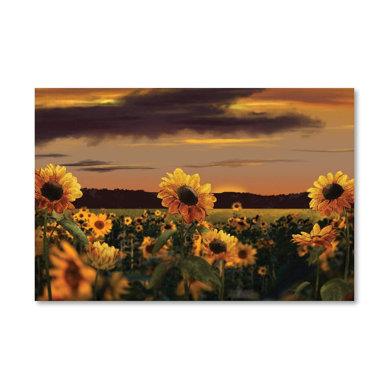 Sunflower Meadow Canvas