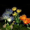 GobekUsa Sunflower Solar Garden Lights for Outdoor Decor