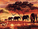 Sunset Elephants