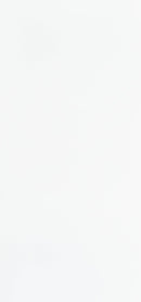 Super White Vicostone