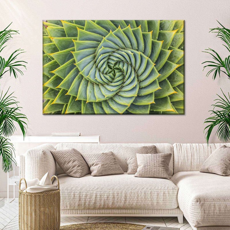 Spiral Succulent Wall Art