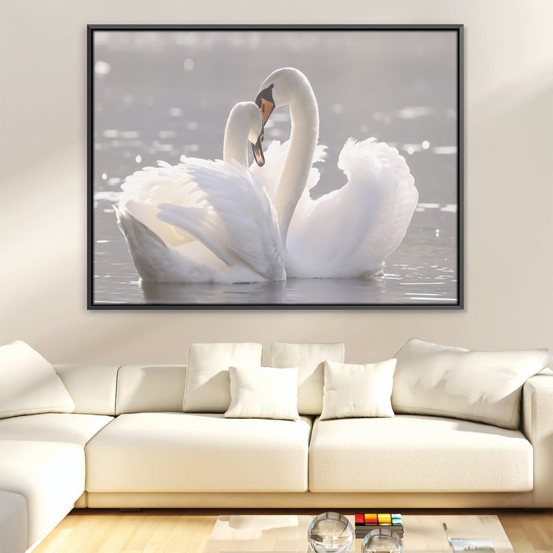 Swan Heart Canvas