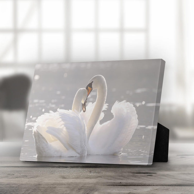 Swan Heart Desktop Canvas