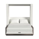 Wall Bed with Sofa
