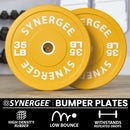 Synergee Bumper Plates